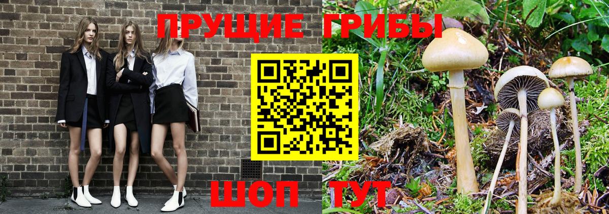 Псилоцибиновые грибы ЛСД  Вход с VPN  Шахты 