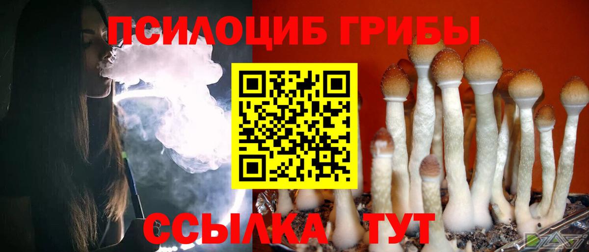 Псилоцибиновые грибы GOLDEN TEACHER Шахты